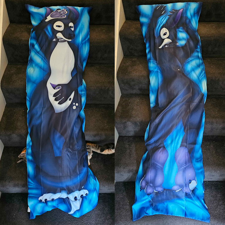 Roxie Roo Daki Cover