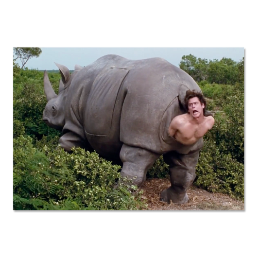 That Rhino Scene